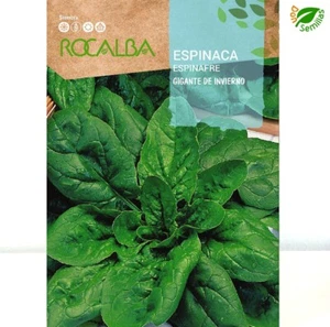Espinaca Gigante de Invierno ( 10 gr / 1.000 semillas ) seeds Espinacas - Imagen 1 de 4