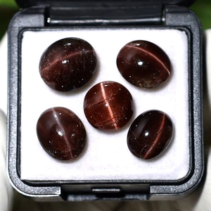 Luminoso ojo de gato ~ 5 piezas piedras preciosas cabujón escapolita natural sin tratar 10-12 mm - Imagen 1 de 11