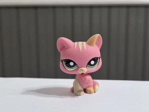 Littlest Pet Shop ~ #1562 ~ Katze Kätzchen ~ Pfote lecken ~ rosa gelb gestreift ~ grüne Punkte Augen - Bild 1 von 3