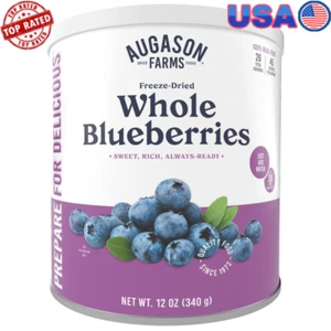 Freeze Dried Whole Blueberries 12oz Can Nutritious Snack Emergency Food Natural - Picture 1 of 7
