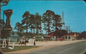 River Bend Amusement Park Albany GA. Chrome Postcard - Picture 1 of 2