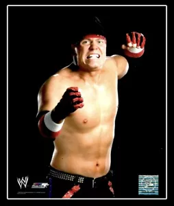 FOTO DE ARCHIVO DE LUCHA LIBRE ORIGINAL 8X10 CON LICENCIA OFICIAL WWE THE MIZ 1 - Imagen 1 de 1