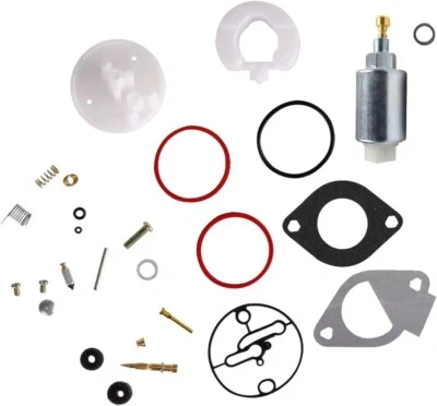 796184 Carburettor Repair Kit with 699915 Fuel Solenoid Valve for BS 494392. - Image 1 of 4