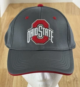 NWT Ohio State Buckeyes Mens L/XL Fitted Gray Embroidered Stretch Hat•Curved Bil - Picture 1 of 16