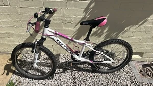 Carrera Luna Girls Mountain Bike 20-inch Wheel - Picture 1 of 8