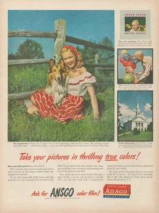 1948 Ansco Farbfilm Pretty Lady with Collie Dog Thrilling True Colors Print Ad - Bild 1 von 1
