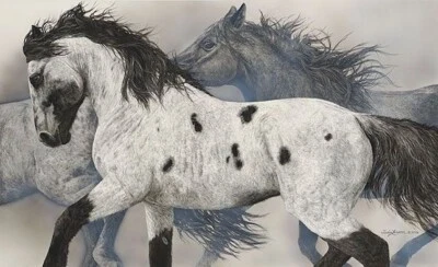 Judy LARSON " Ghost Wind " Limited Edition PRINT Wild Native Horses ART Camo - Image 1 of 4