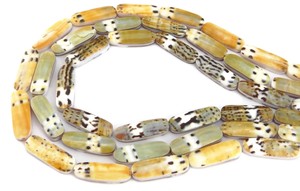 😏 Kapitänskegelschnecke Perlen Strang Viereck ca. 28x9 mm 3 Farben Muschel 😉 - Bild 1 von 1