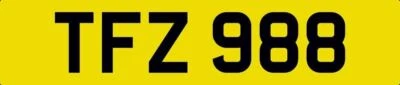 PLACA DE NÚMERO APRECIADA TFZ 988 PRIVADA SIN FECHA TF INICIALES TIM THOMAS TONY TOM Foto 1 de 4