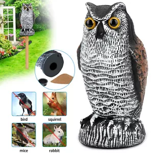 Vivid Owl Decoy Statue Protect Garden Yard Pest Repellent Bird Scarecrow Outdoor - Picture 1 of 9