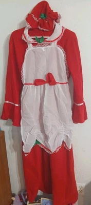 Fantasia feminina de luxo Mrs. Claus Natal adulto plus 18-20 - Imagem 1 de 3