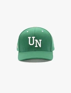LeBron James Uninterrupted - Chosen UN Snapback Hat, Emerald Green (Authentic) - Picture 1 of 4