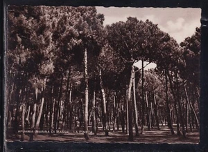 Apuania Marina di Massa La Pineta IA406 Postcard - Picture 1 of 1