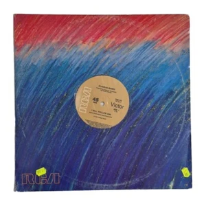 CLAUDJA BARRY - 'I Will Follow Him' 12" Vinyl Single Record 1982 AUST. PRESSING - Picture 1 of 6