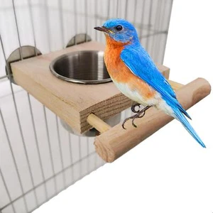 Bird Feeder Wood Perch Stand Bird Feeding Dish for Cage Accessories Conures - Picture 1 of 11