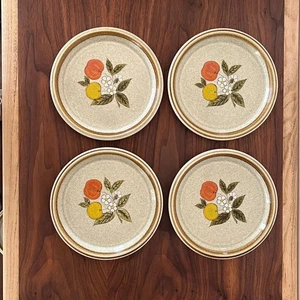 Tempting Stone Manor Salatteller von Mikasa - 4er Set Obst Ersatz Vintage - Bild 1 von 11