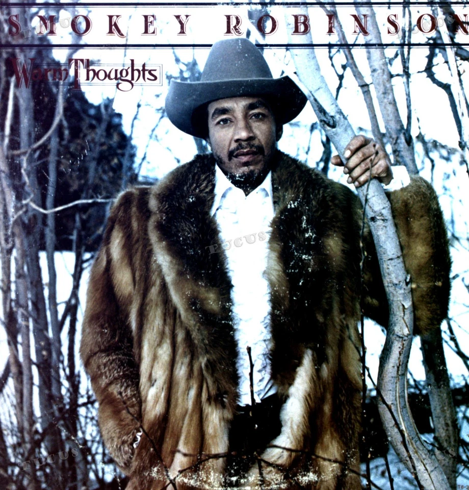 Smokey Robinson - Warm Thoughts LP (VG/VG) .* - Image 1 of 1