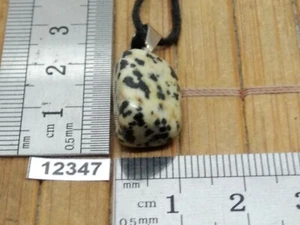 Pendentif JASPE DALMATIEN + cordon reglable mineraux pierre roulée reiki collier - Picture 1 of 1