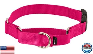 PetSafe Martingale Dog Collar with Quick-Snap Buckle - Small, 3/4 Inch, Raspb - Picture 1 of 5