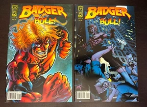 BADGER BULL #1 (IDW Comics 2007) -- 1st Printing + VARIANT Cover -- NM- - Picture 1 of 2