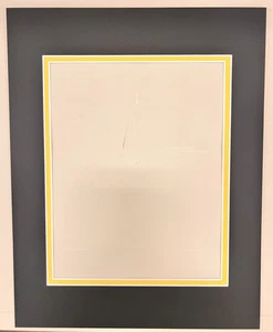 Pittsburgh Steelers 11x14 Photo Photograph Double Mat 8x10 Cut Out 25CT LOT - Picture 1 of 1