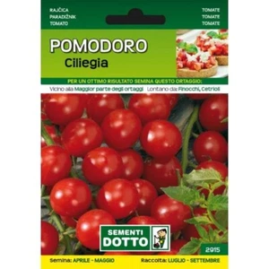 SEMENTI DA ORTO - SEMI DI POMODORO CILIEGIA O CILIEGINO - SEM. DOTTO - Imagen 1 de 1