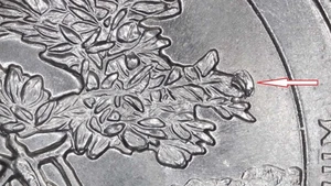 2020-P Salt River Bay Qtr.  Die Chip on leaf. T298 - Picture 1 of 4
