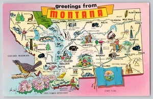 Postcard Greetings From Montana State Map Flag Bird Flower Unposted  JF1.37 - Picture 1 of 2