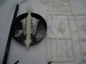 Toymax Plastic Skeleton Model Glow in the Dark, 12 in, No Box, dated 1993 horror - Picture 1 of 12