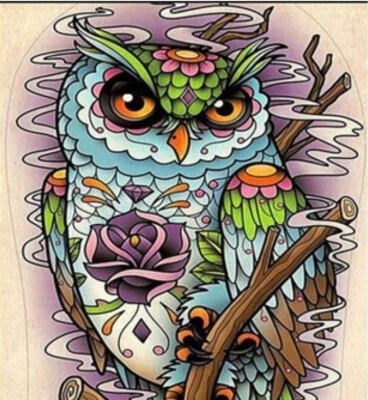 50x40 cm Malen nach zahlen Set mit Holzrahmen Eule - Bild 1 von 4