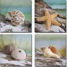 Shell & Driftwood by Geissler 4-pc Canvas Giclee Art Set (18 in x 18 in Each pc)