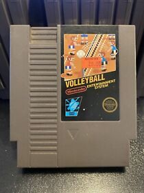 Volleyball (Nintendo NES) 5-Screw Version! Tested Working!