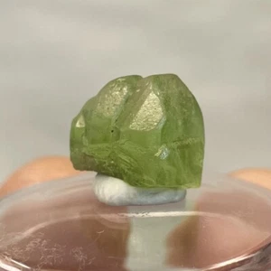 Peridot Crystal Specimen 2.16g - 11mm Tall From Pakistan High-Quality Rough Raw - Picture 1 of 9