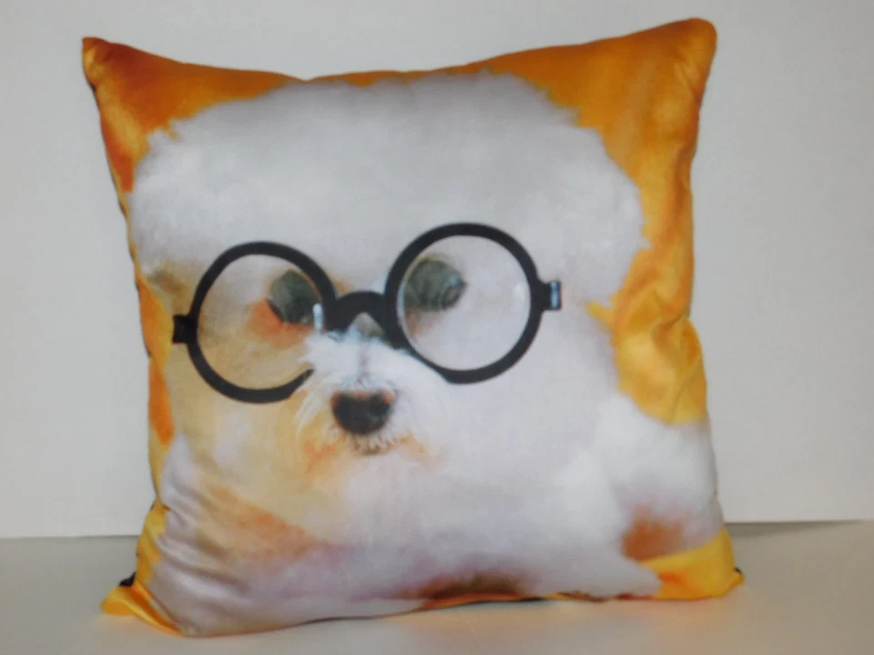 Bichon Frise Dog Pillow Real Photo 16 X 16 Inch - Image 1 of 3