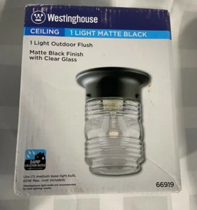 Westinghouse 1 light Black  Outdoor Ceiling Fixture 66919 - Picture 1 of 3