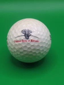 Pelota de golf ELEPHANT ROCKS GOLF COURSE Logo WILLIAMS, AZ ARIZONA - Imagen 1 de 3