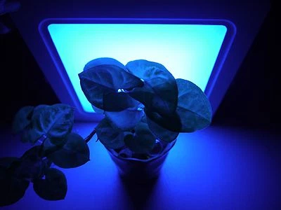 Orchid Flower Plant Grow 90SMD LED UV Light Panel 110V E27 USA EngineerCertified - Image 1 of 4