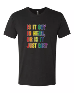Is it gay in here or is it just me LGBTQ Herren Premium Tri Blend T-Shirt - Bild 1 von 15