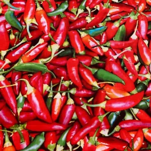 Fabric Multi Chili Peppers Red Green Cotton 1/4 yard 576E-MLT - Picture 1 of 5