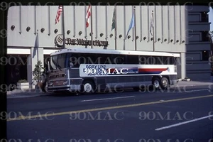 GRAY LINE. MCI BUS #58. Seattle (WA). Original Slide 1982. - Picture 1 of 1