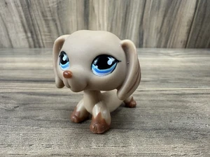 Littlest Pet Shop LPS Dackel Hund #518 braun blaue Augen authentisch Hasbro selten - Bild 1 von 8