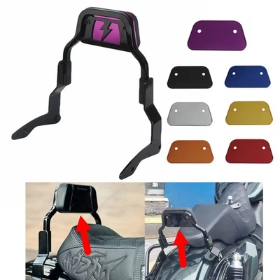 Barra trasera desmontable Backreat Sissy para motocicleta Harley Road Glide 2015-2016 Foto 1 de 4