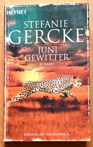 Stefanie Gercke Junigewitter Taschenbuch Roman Schicksalsroman romantisch - Bild 1 von 3