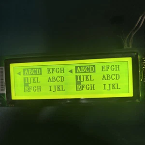 LCD Screen RG24064-1AB for REV.5 - Picture 1 of 1