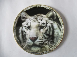 Piatto Cina White Tiger Fine Bone di Royal Doulton usato. - Foto 1 di 3