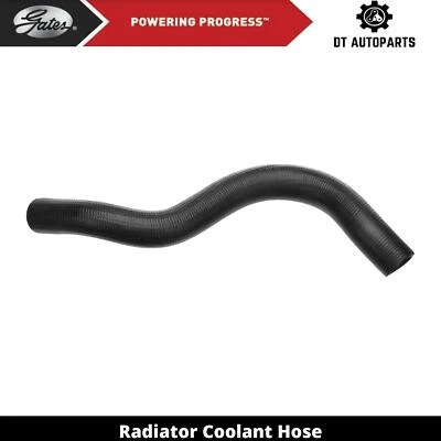 Manguera de refrigerante de radiador para Ford Crown Victoria 2003-2011 puertas superiores 2004 2005 Foto 1 de 4