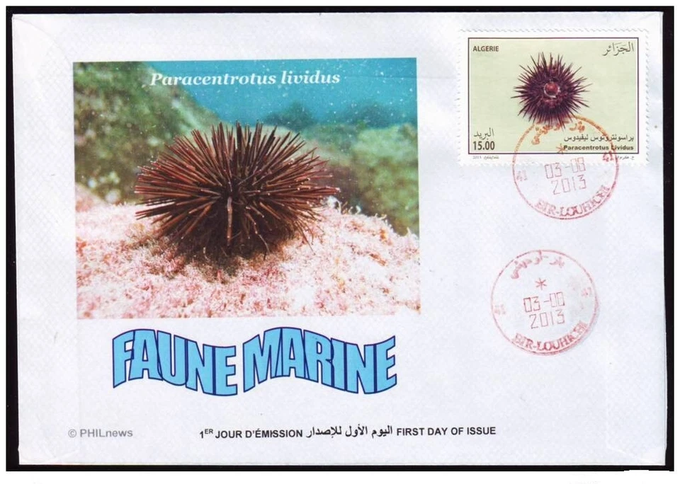 ALGERIA 2013 - FDC - Sea fauna - Marine - Oursin - urchin - pilluelo - Seeigel - Image 1 of 1