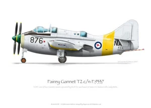 Fairey Gannet XA517 RAN - A3+ Profile Print - Picture 1 of 2