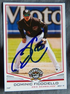 Detroit Tigers Dominic Ficociello Signed 2017 Erie Seawolves Auto Card