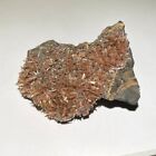 Rare 1.7” Museum Quality Inesite Crystal Specimen - Nchwaning Mine, South Africa